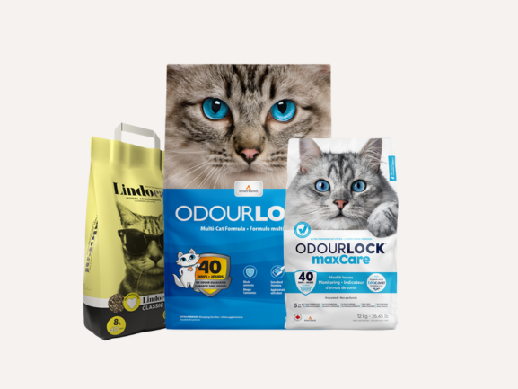 Unscented Cat Litter