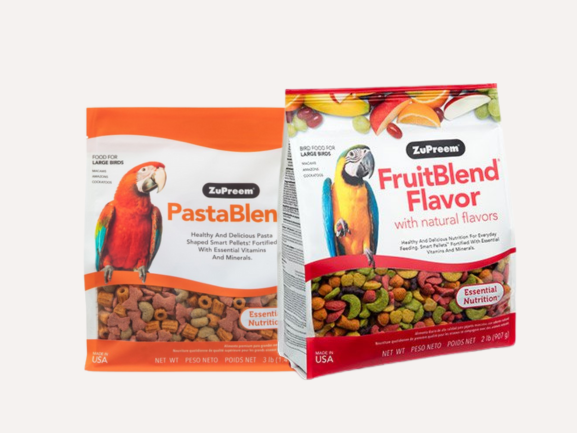 Image showcasing Buy Macaw Food & Supplies Online in UAE | PetCentral – PetCentral UAE