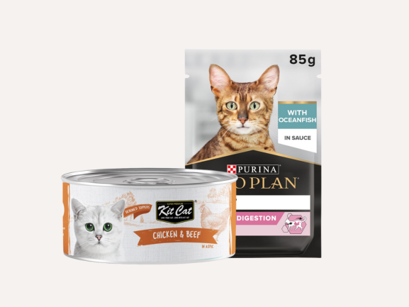 Cat Wet Food - Potato-Free