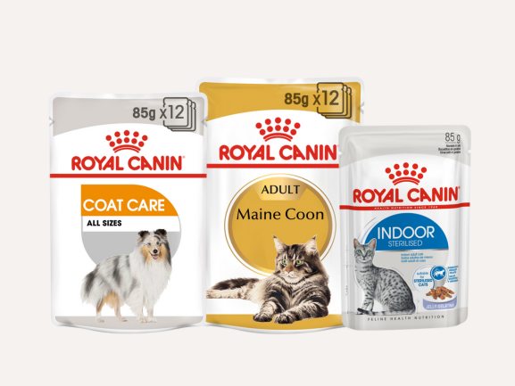 Royal Canin - Chunks In Gravy