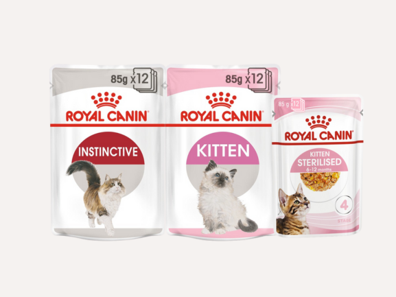 Royal Canin - Cat Wet Food