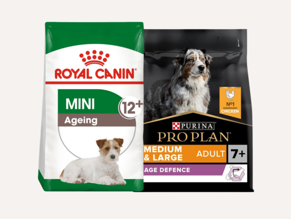 Dog Dry Food - Senior