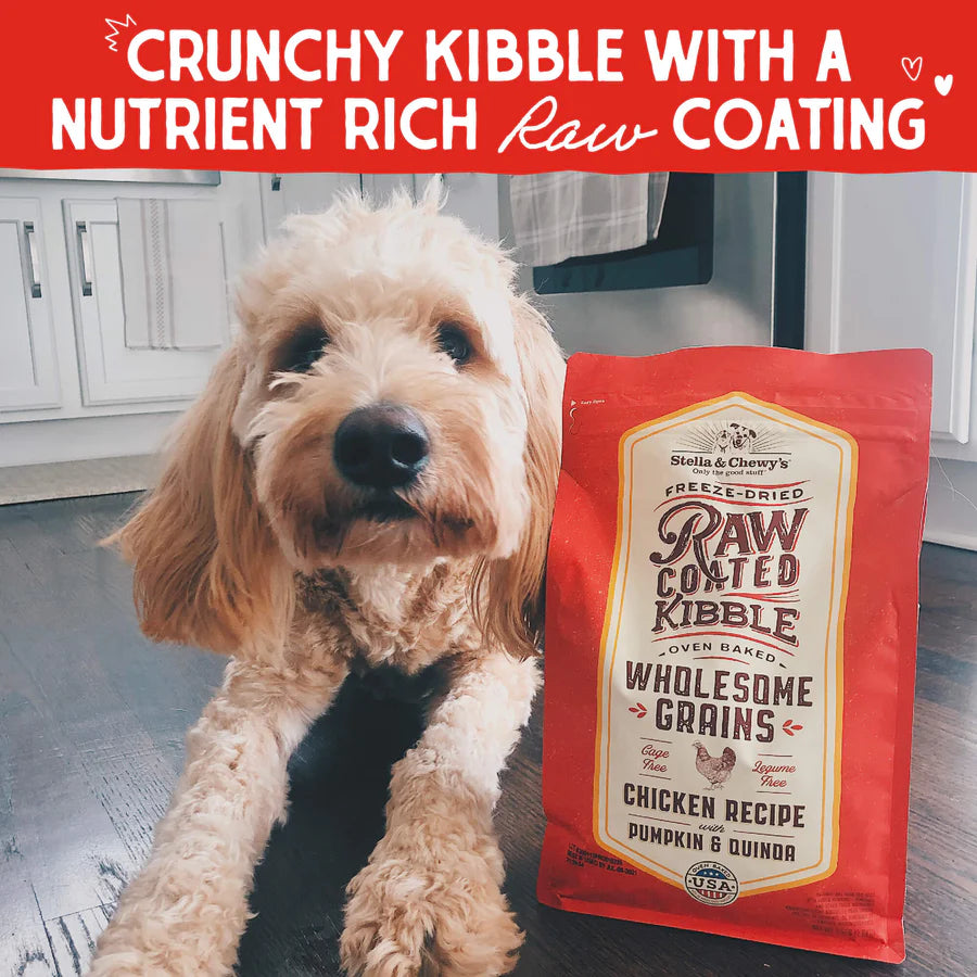 Stella & Chewy's Baked Kibble for Dogs Raw Coated Wholesome Grains Chicken Recipe - 3.5 lb