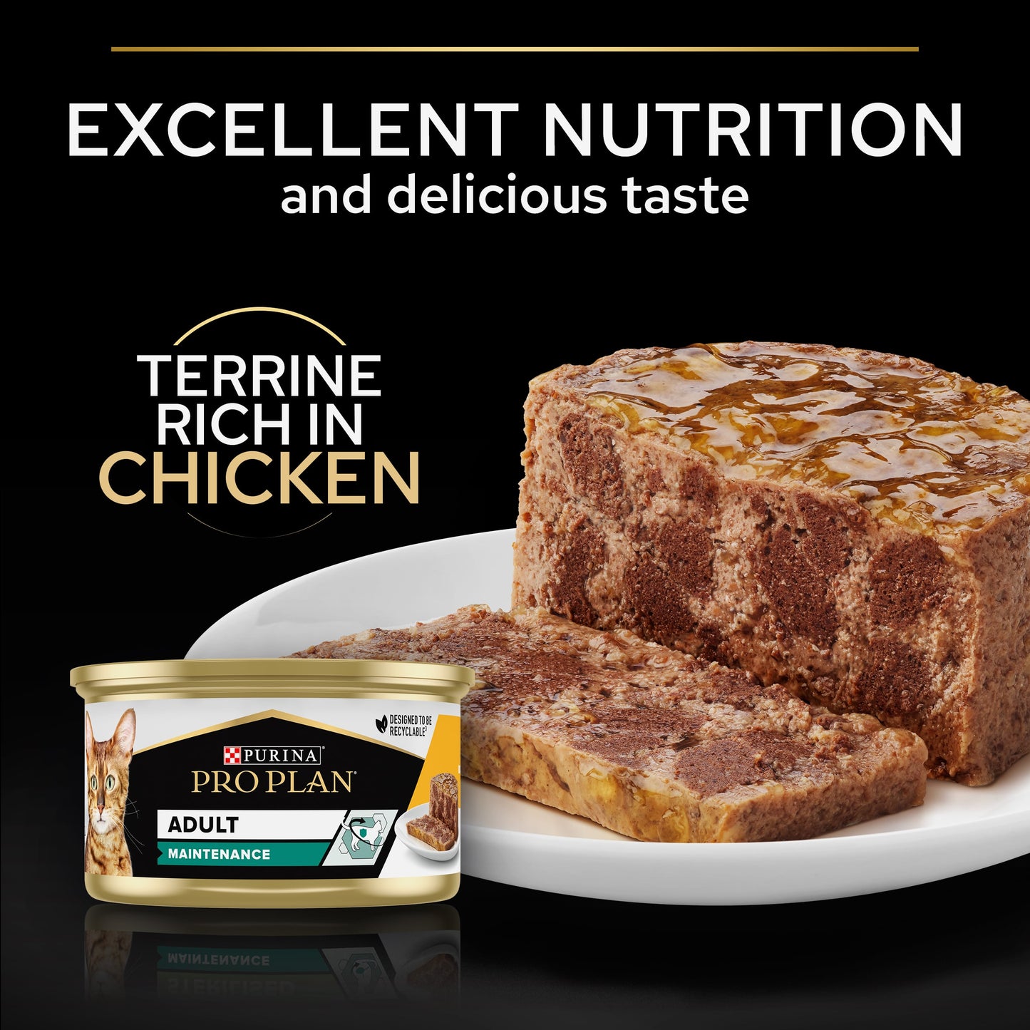 Purina Pro Plan Adult Maintenance, Wet Cat Food, Terrine rich in Chicken, 24 x 85g