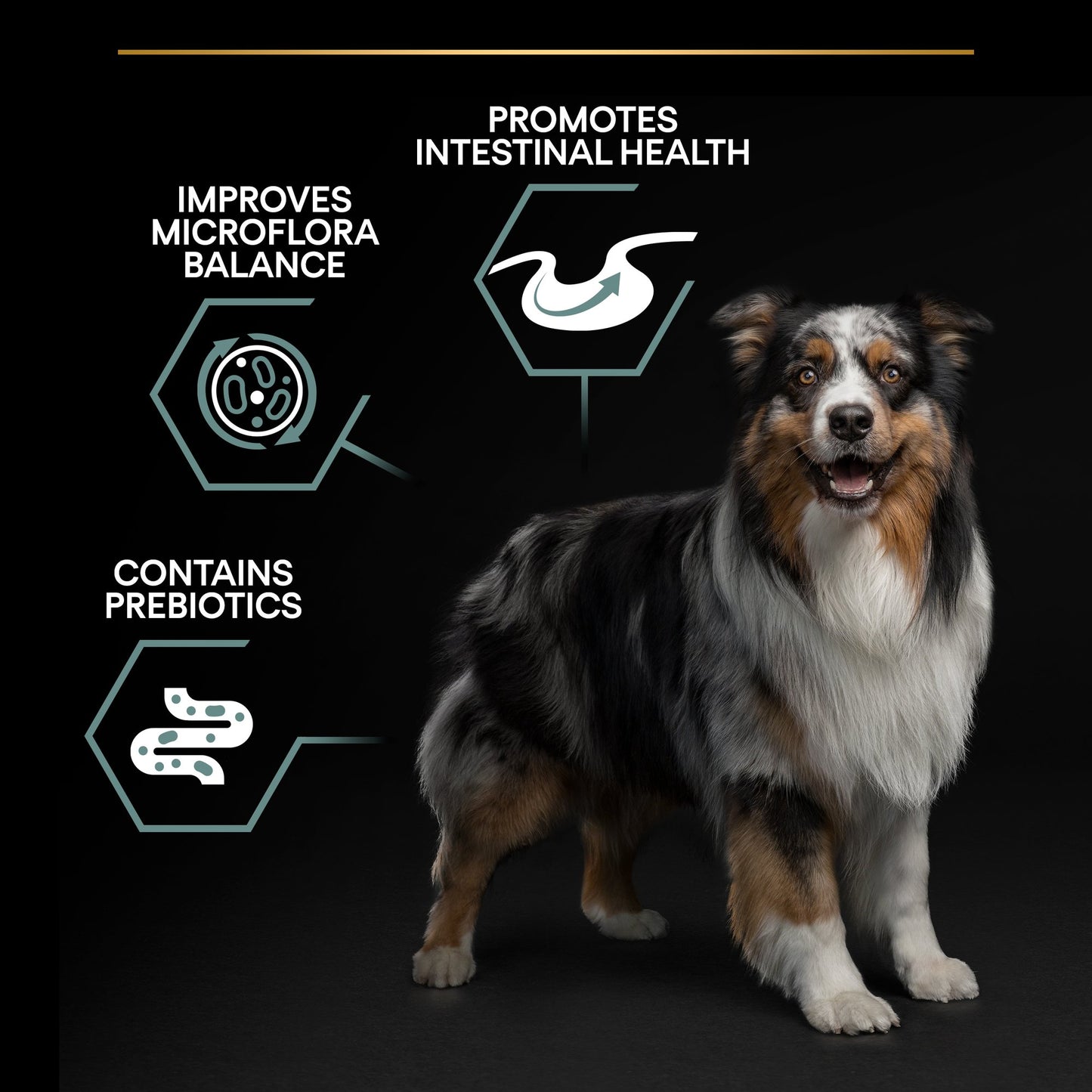 Purina Pro Plan Sensitive Digestion Medium Adult, Dry Dog food with Lamb