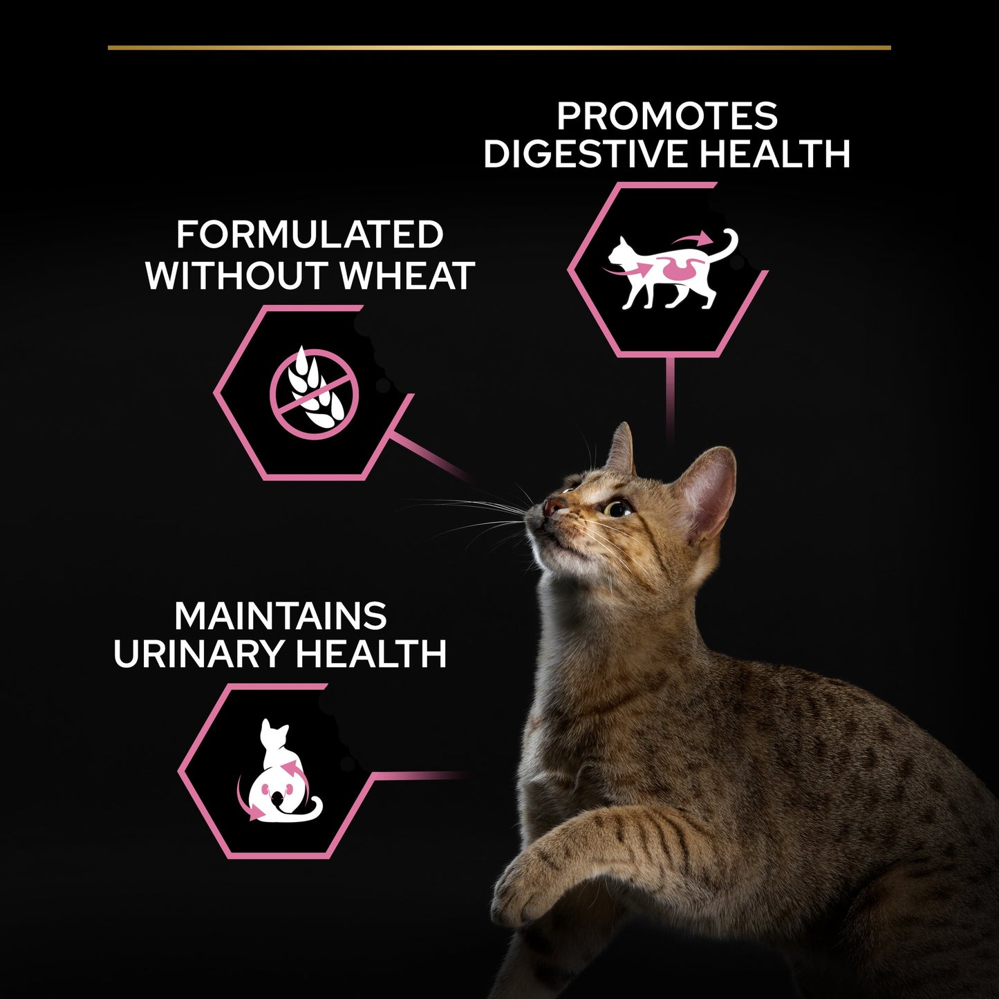 Purina Pro Plan Sterilised Adult Delicate Digestion Dry Cat Food with Chicken