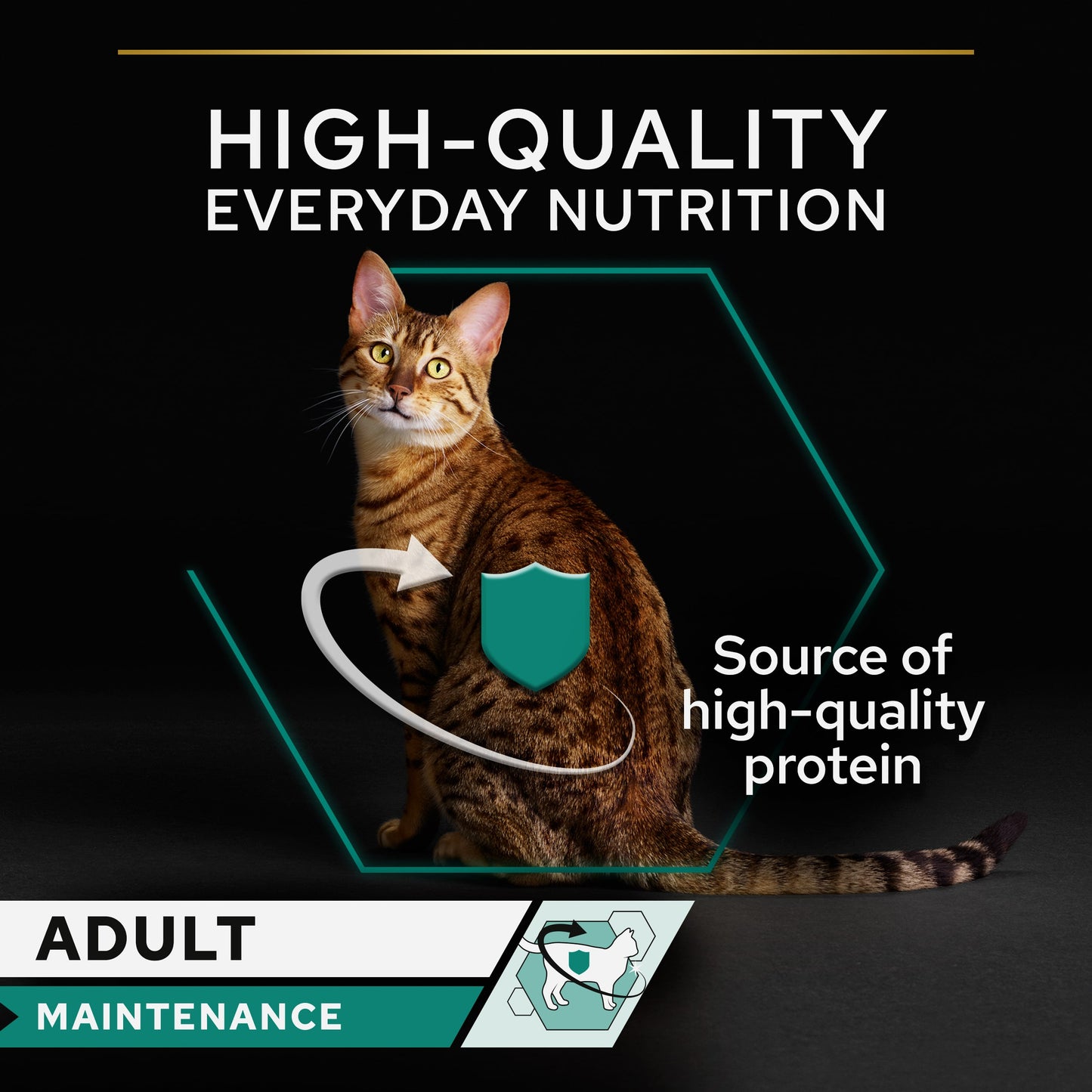 Purina Pro Plan Adult Maintenance, Wet Cat Food, Terrine rich in Chicken, 24 x 85g