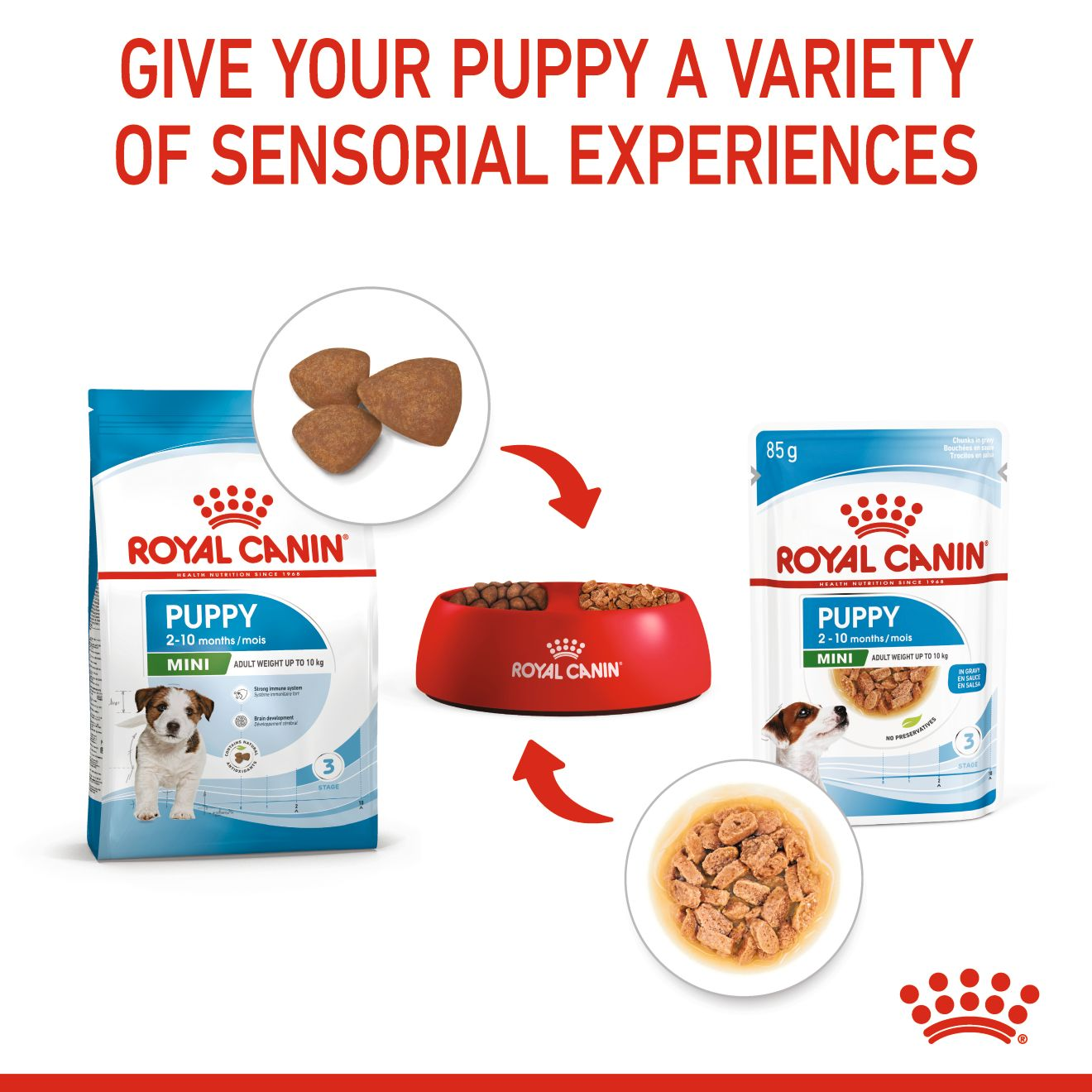 Royal Canin Size Health Nutrition Mini Puppy (WET FOOD - Pouches) 12 x 85g