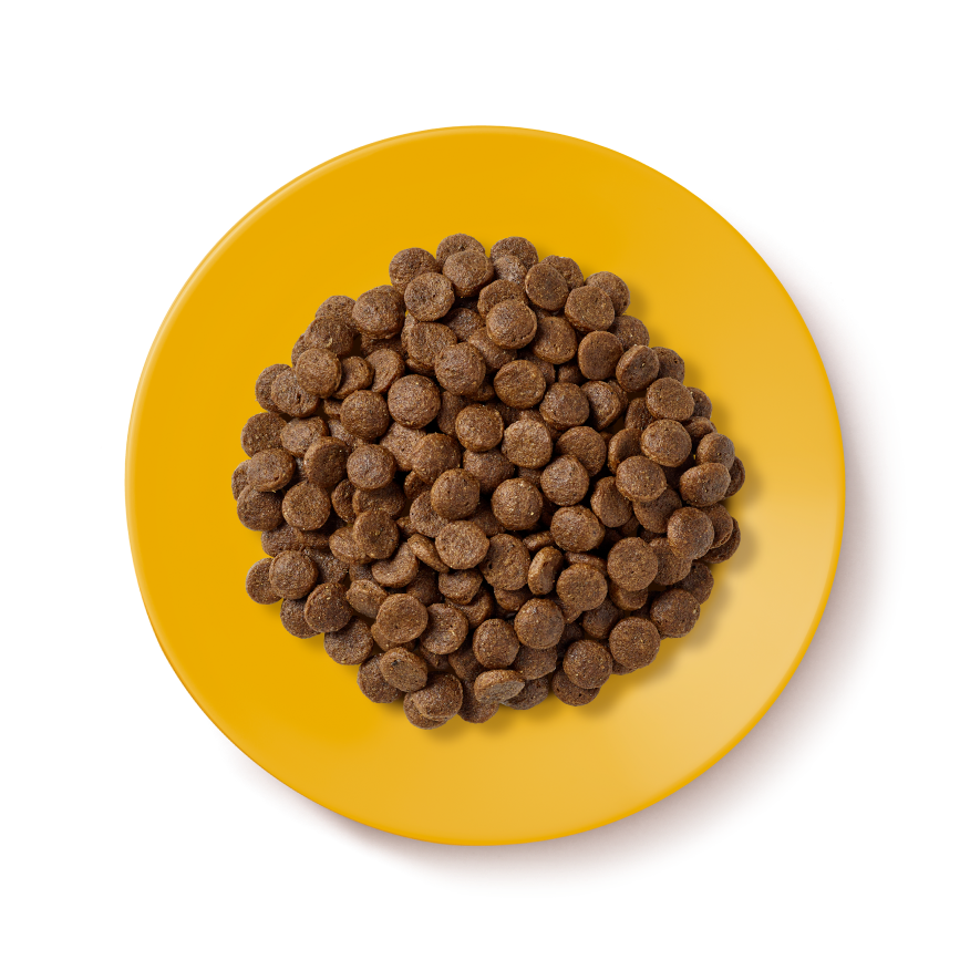 Applaws Chicken Senior Dry Cat Food - 2kg