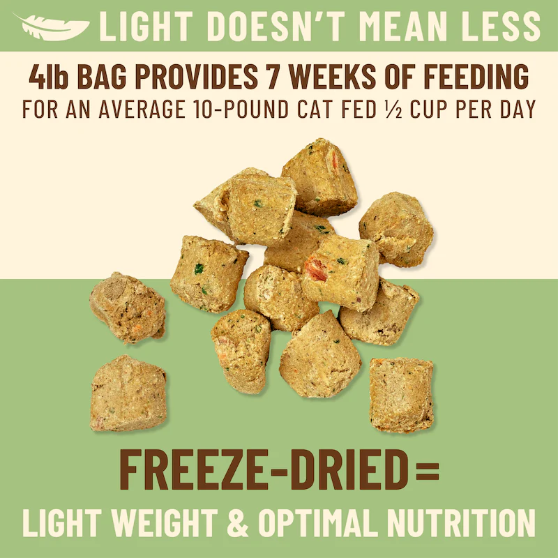 Primal Kibble in the Raw Cat Food – Chicken Recipe