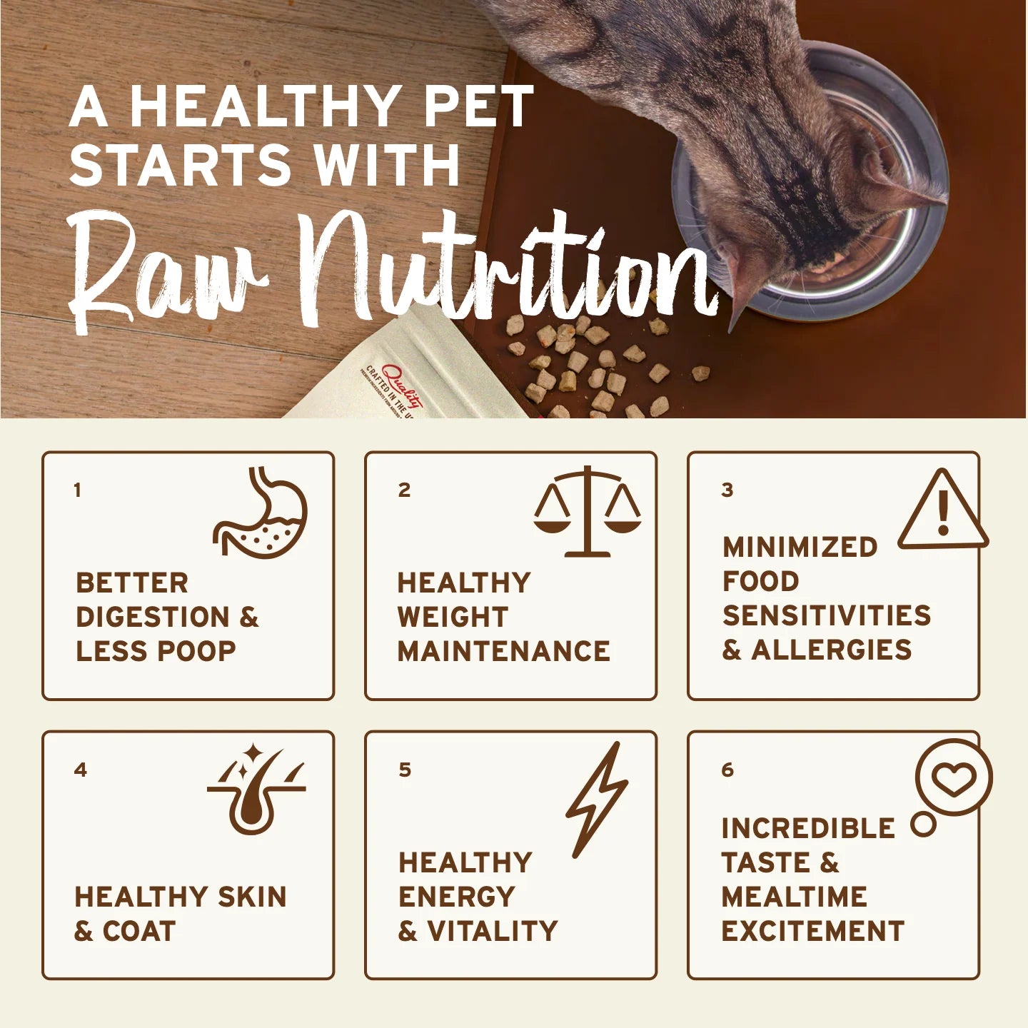 Primal Feline Chicken & Salmon Freeze-Dried Formula