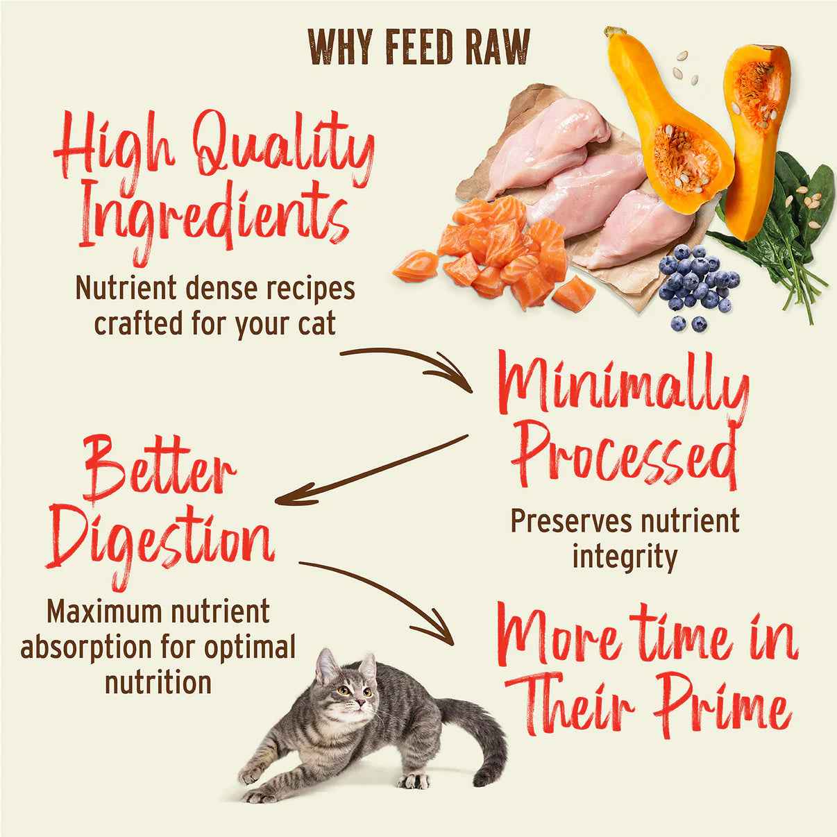 Primal Feline Turkey Freeze-Dried Formula