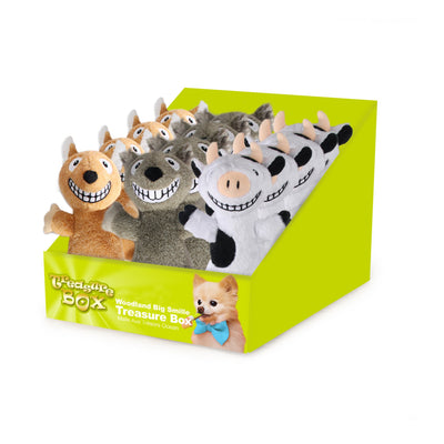 All For Paws Woodland Big Smile Treasure Box Assorted 24pcs/box