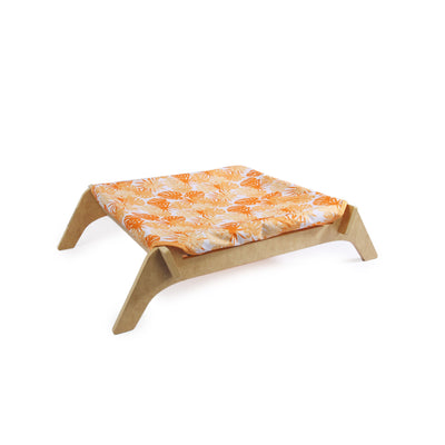 Modern Cat Cat Lounge Orange