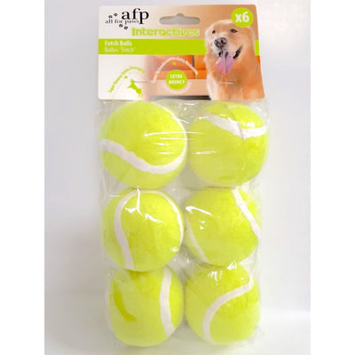 Fetch Balls 6/pk