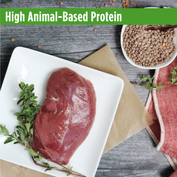 Nulo FreeStyle Indoor Cat Grain-Free Duck & Lentils