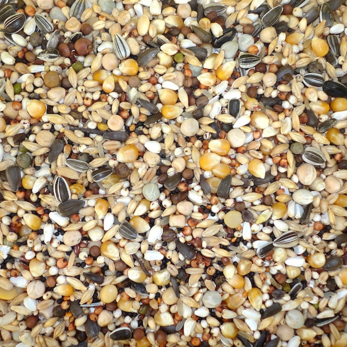 Farma Moulting Diet 20 kg