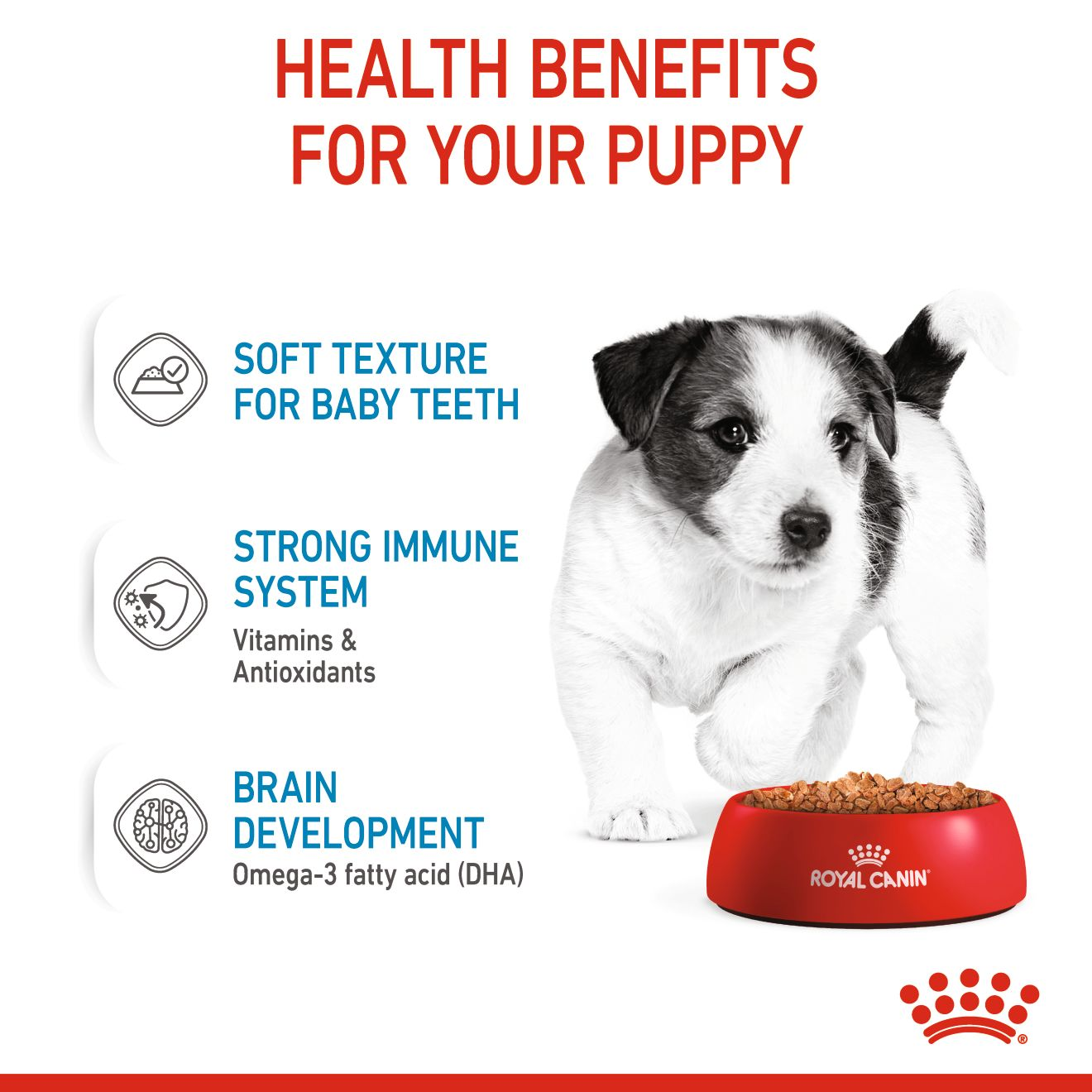 Royal Canin Size Health Nutrition Mini Puppy (WET FOOD - Pouches) 12 x 85g
