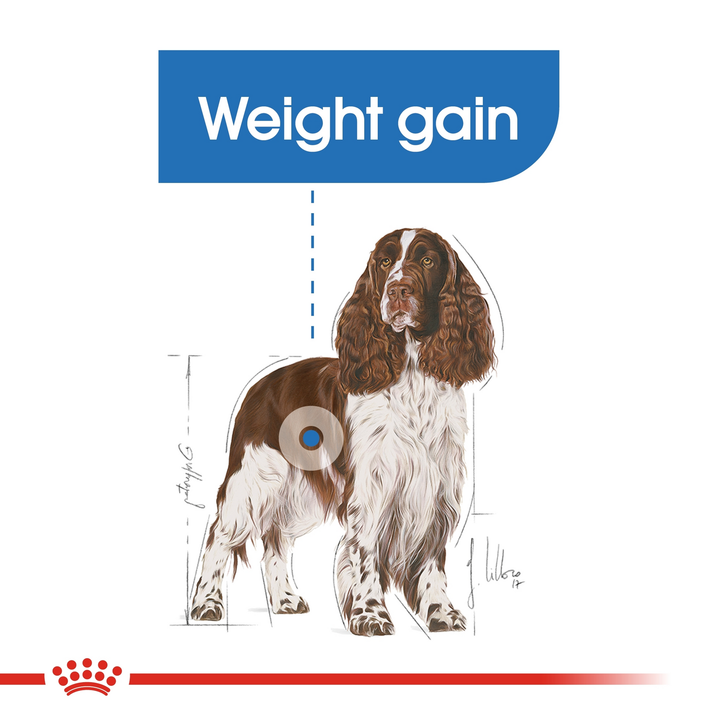 Royal Canin Canine Care Nutrition Medium Light Weight Care