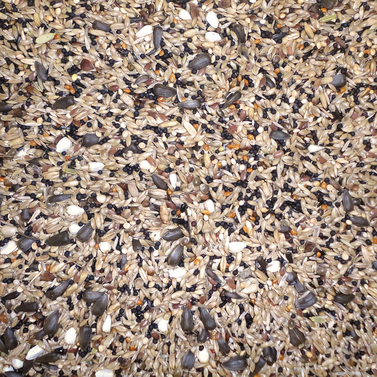Farma Wild Bird Mix 20 kg