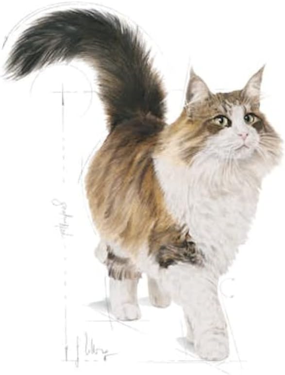 Royal Canin Feline Health Nutrition Sterilised Jelly (WET FOOD - Pouches) 12 x 85g