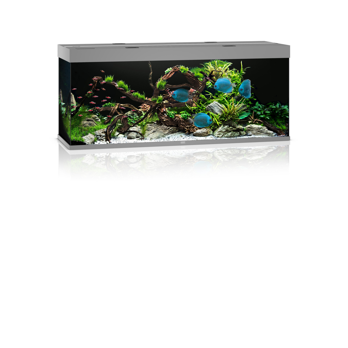 Juwel Rio 450 LED Grey