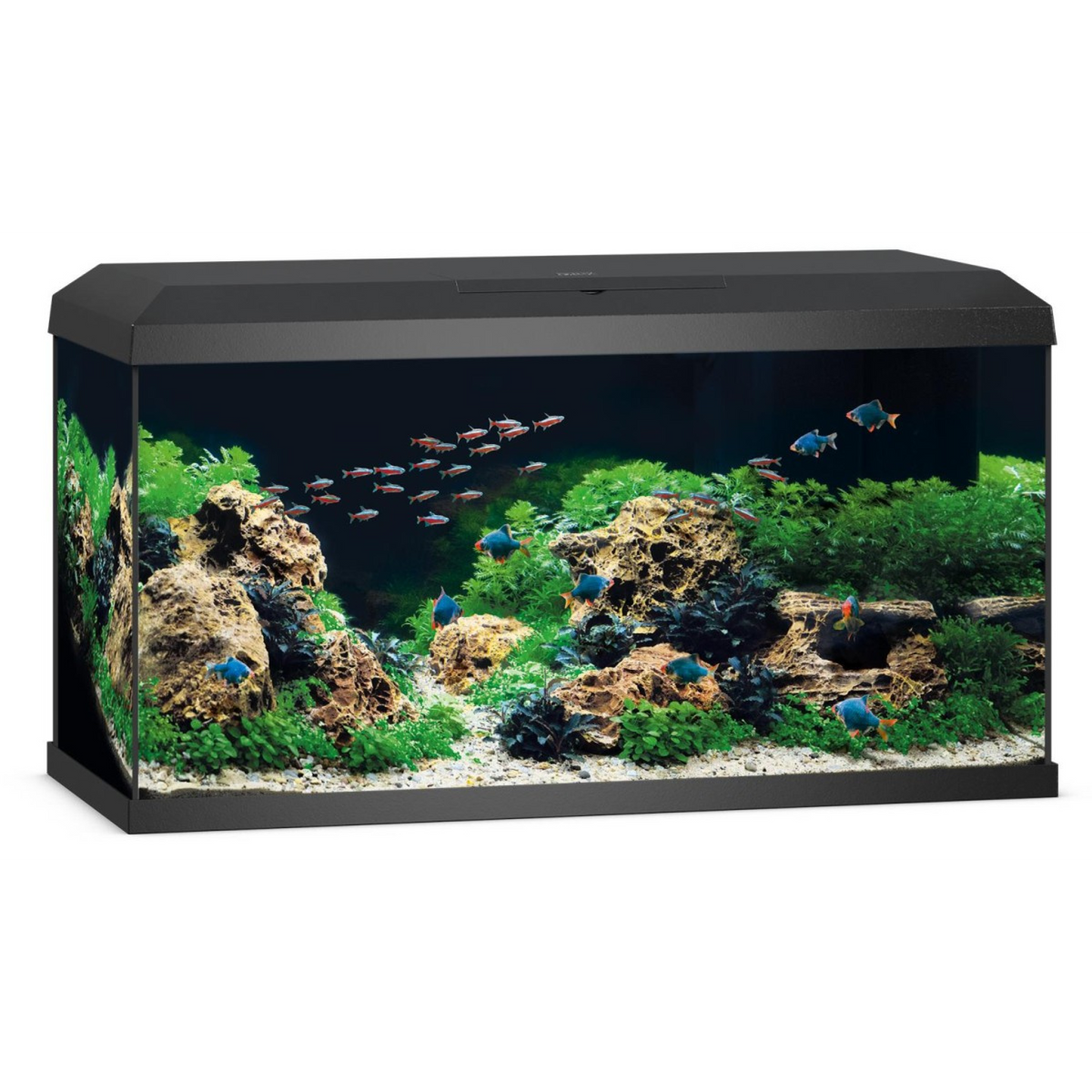 Juwel Primo 110 LED 2.0 Black