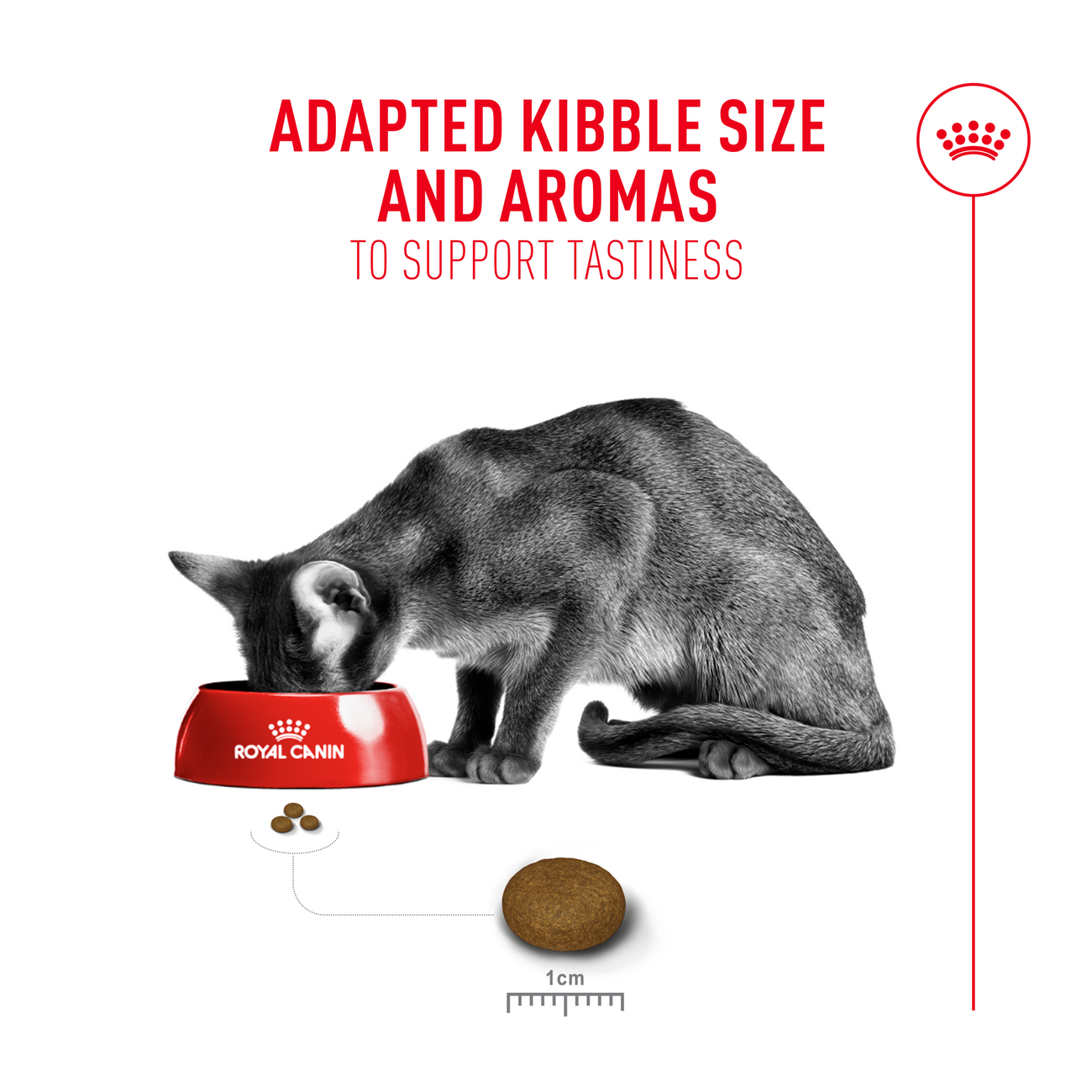 Royal Canin Feline Health Nutrition Fussy Cat Dry Food