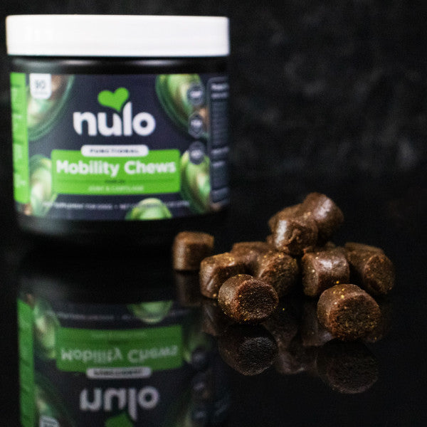 Nulo Mobility Soft Chew for Dogs - 270g (90 ct. Jar)