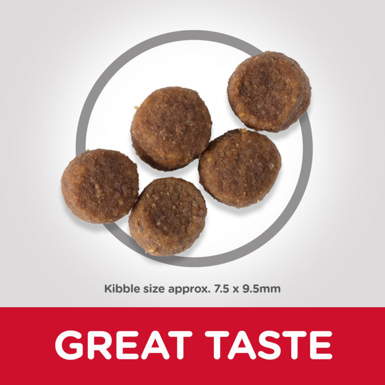 Hill's Science Plan Medium Puppy Food with Chicken