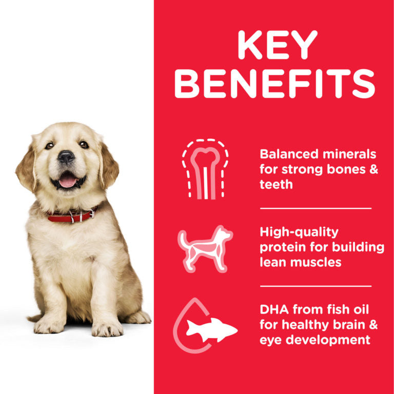 Hill's Science Plan Large Breed Puppy Food with Chicken