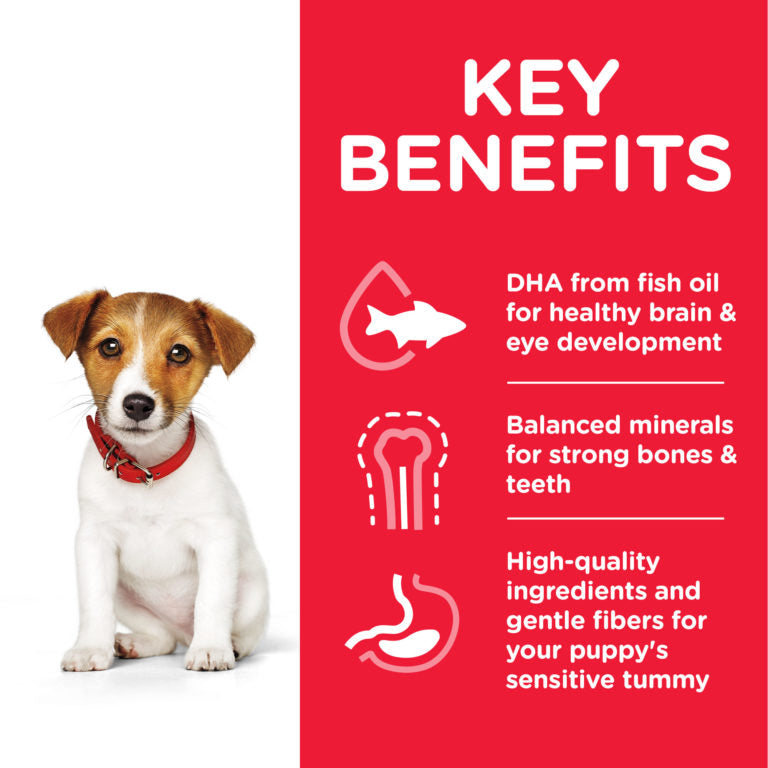 Hill's Science Plan Small & Mini Puppy Food with Chicken
