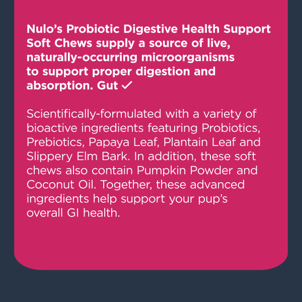Nulo Probiotic Soft Chew for Dogs - 270g (90 ct. Jar)