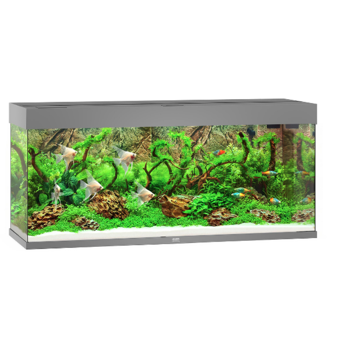 Juwel Rio 240 LED Grey