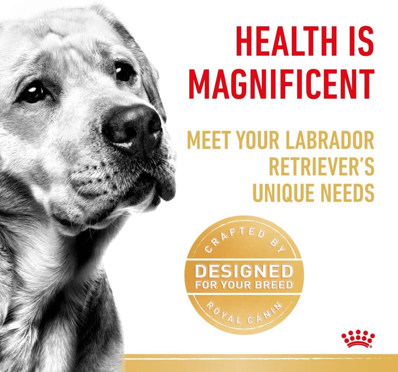 Royal Canin Breed Health Nutrition Labrador (Wet Food - Pouches) 10 x 140g