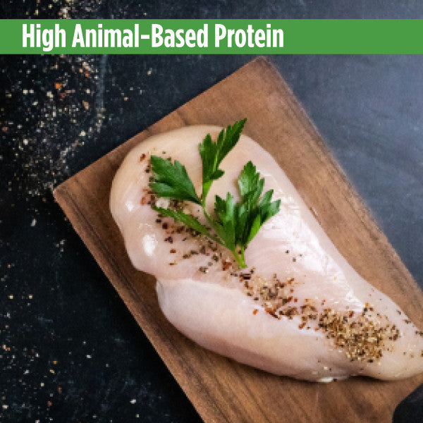 Nulo Cat Shredded Chicken & Duck 85g Can