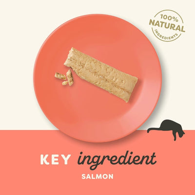 Applaws Salmon Fillet Cat Treats 30g