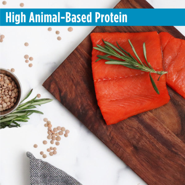 Nulo FreeStyle Adult Trim Cat Grain-Free Salmon & Lentils