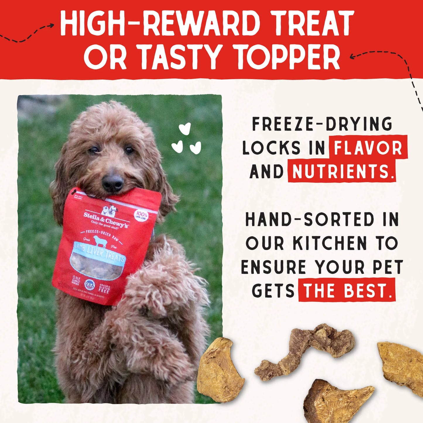 Stella & Chewy's Lamb Liver Treats - 3 oz