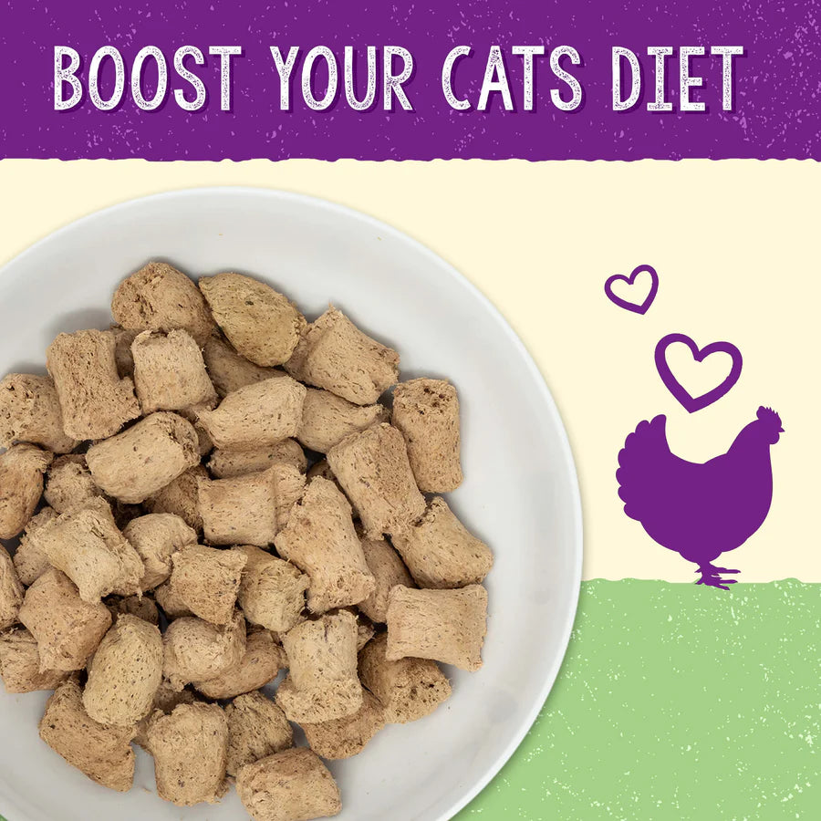 Stella & Chewy's Digestive Boost Chicken Recipe - 7.5oz