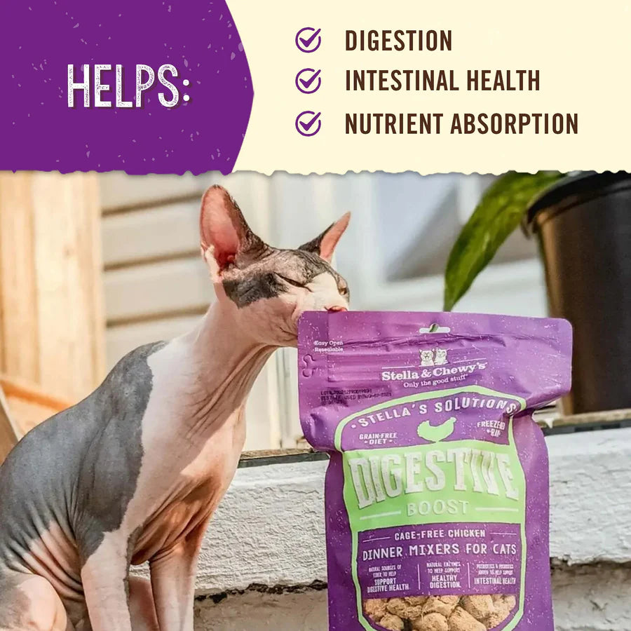 Stella & Chewy's Digestive Boost Chicken Recipe - 7.5oz