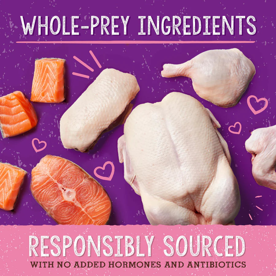 Stella & Chewys Skin & Coat Boost Duck & Salmon Recipe - 7.5oz