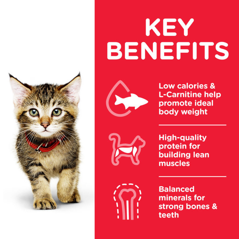 Hill's Science Plan Kitten Food with Chicken