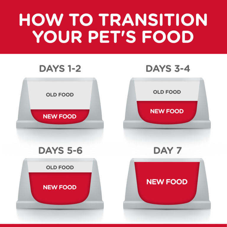 Hill's Science Plan Kitten Food with Chicken