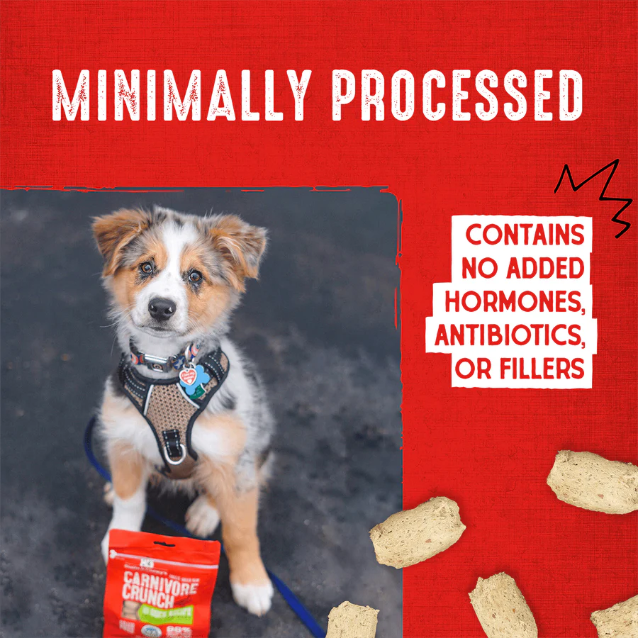 Stella & Chewy's Dog FD Carnivore Crunch - Beef - 3.25 oz