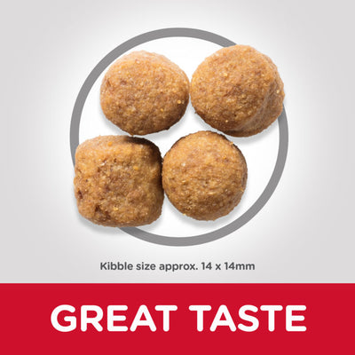 Hills Science Plan Large Breed Adult Dog Food with Lamb & Rice