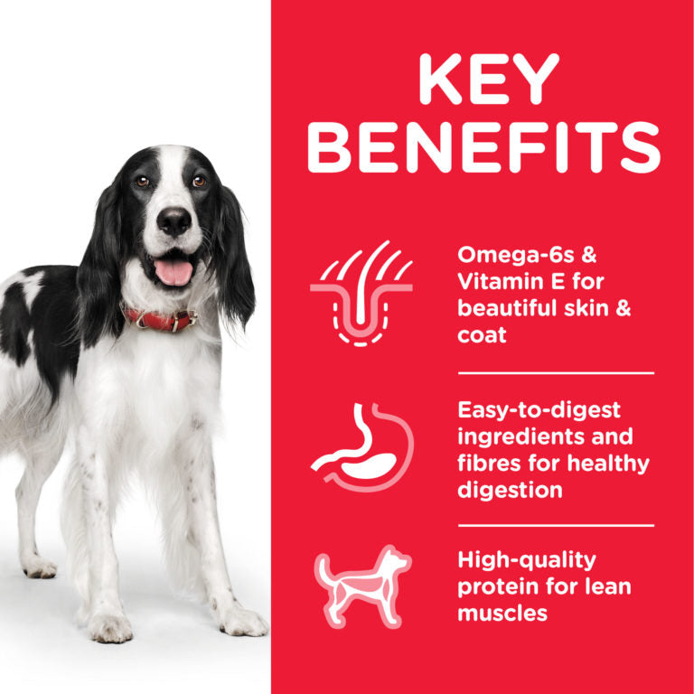 Hill's Science Plan Medium Adult Dog Food with Chicken