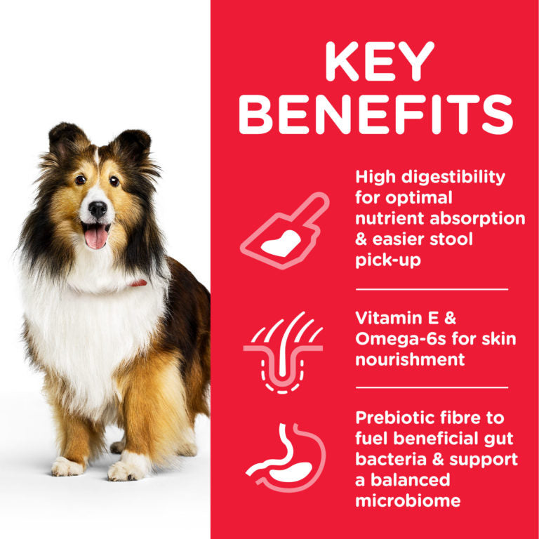 Hill's Science Plan Sensitive Stomach & Skin Medium Adult Dog Food with Chicken