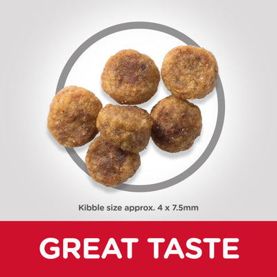 Hills Science Plan Small & Mini Adult Dog Food with Lamb & Rice