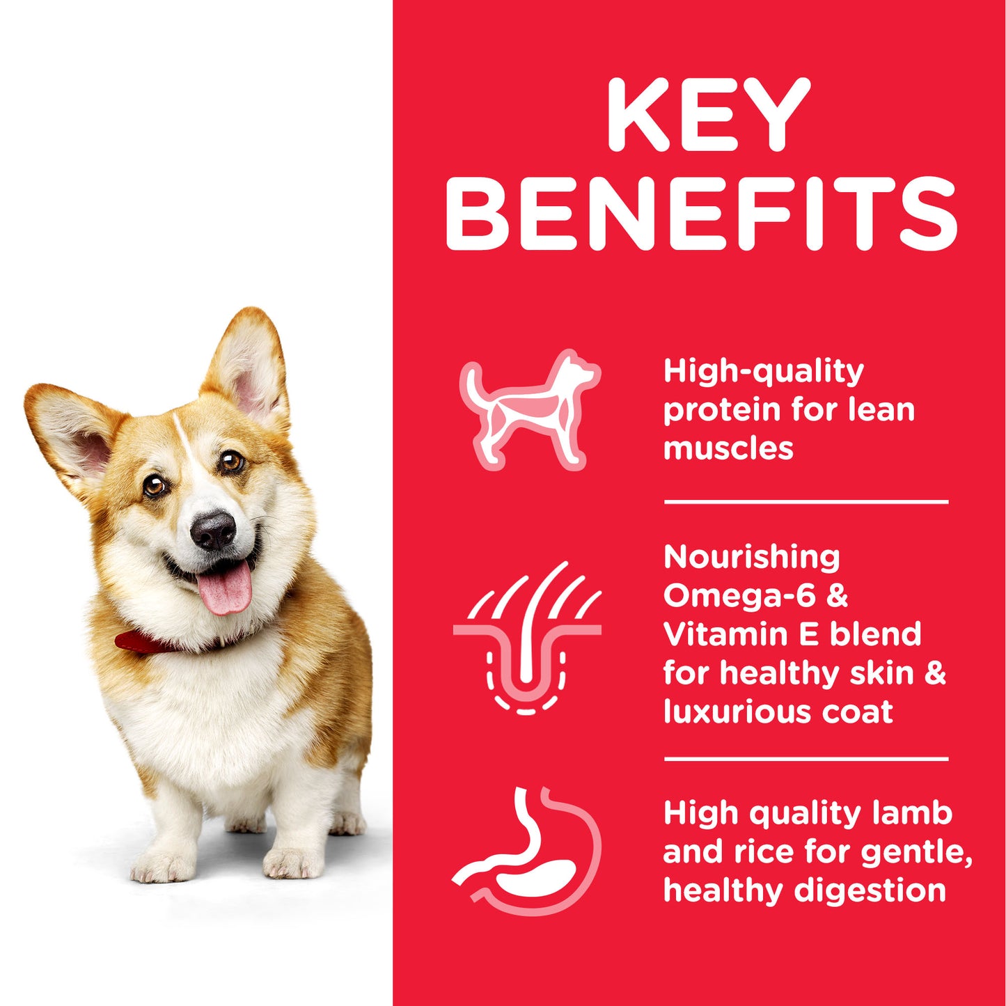 Hill's Science Plan Small & Mini Adult Dog Food with Chicken